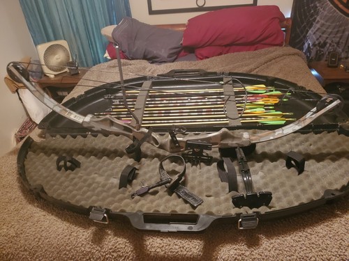 Compound competition bow - compound,