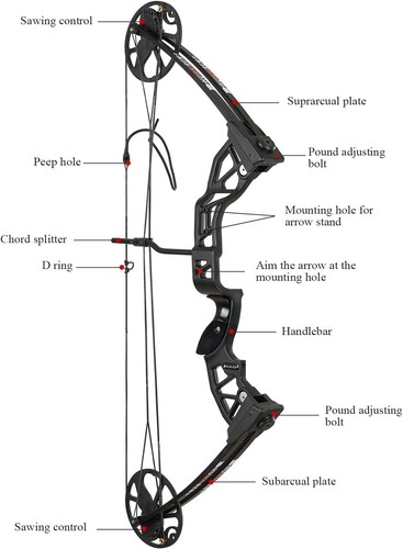 70lbs compound bow kit - compound,