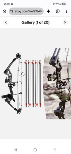 Compound bow right - hand, 70lbs
